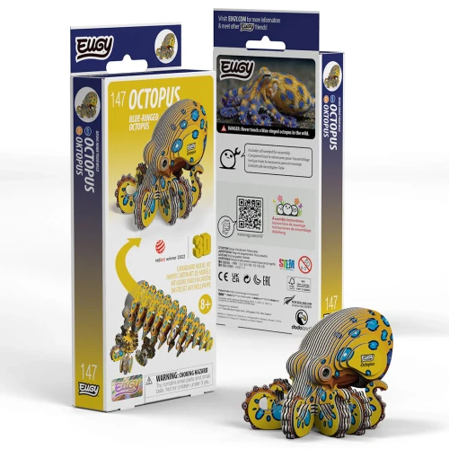147_Octopus_pack_2026.06.webp