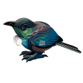 149_KOKO-TUI_20260402_cover_woBG.png
