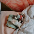 BT140004_MHSJ_PLUSH_ELLA_AMBIANCE_06.jpg