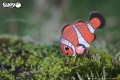 37_clownfish_09.JPG