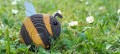 073_bumblebee_5_jpg.jpg