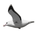 097_Royal_Albatross_rendering_0002.png