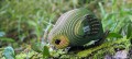 099_kakapo_05_jpg.jpg