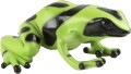 71nXekxLPiL._AC_SL1500_.jpg