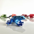 Produktowe_żaby trujące-7.jpg