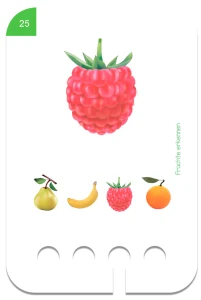 21658 Rozpoznawanie Owoców. Karty WiemTo dla dzieci 2+