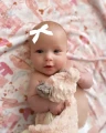 Cd1NgoslNWf.webp