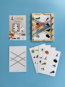 21245 Zabawy z Cieniem. Karty Edukacyjne Lemo